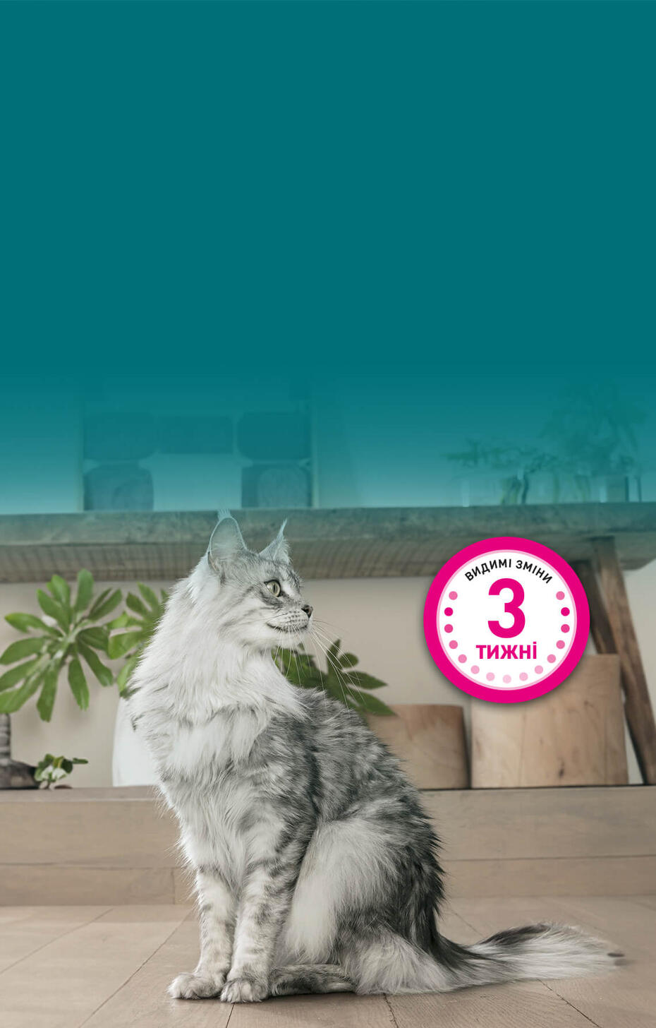 Purina ONE кіт