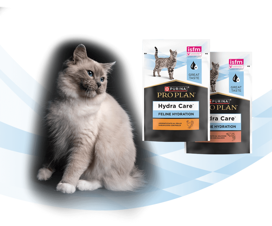 Кіт та PRO PLAN® Hydra Care (Хайдра Кер) зі смаком курки або лосося