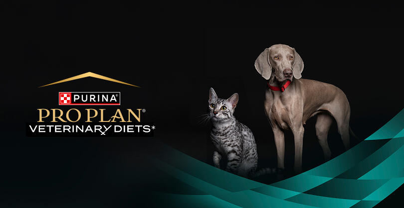 PRO PLAN® Ветеринарні дієти для підтримки здоров’я кишечника котів та собак