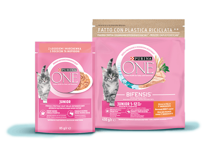 Стартовий набір раціонів Purina ONE® Junior для кошенят