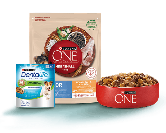 Стартовий набір раціонів Purina ONE® Junior та Dentalife® для цуценят