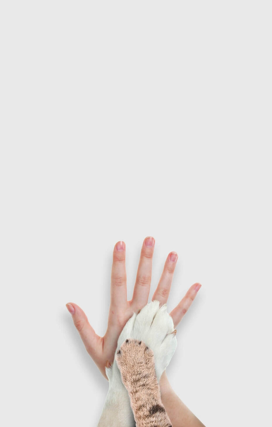 Ціннісна пропозиція