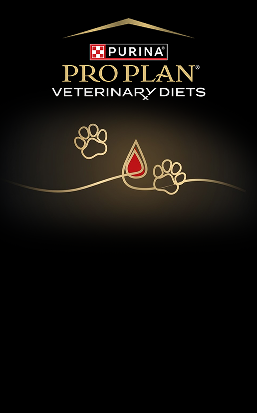 ВЕТЕРИНАРНІ БАНКИ КРОВІ