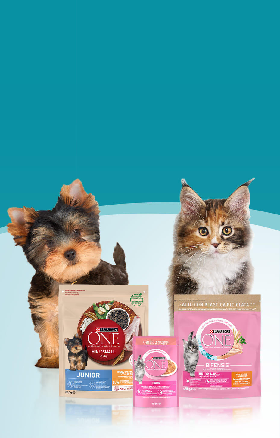 Акція від Пуріна Ван для кошенят та цуцентя, тестові набори раціонів