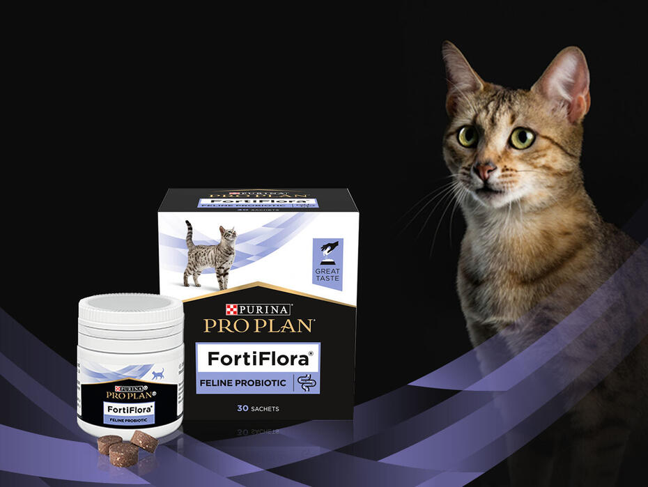 Форті флора для котів