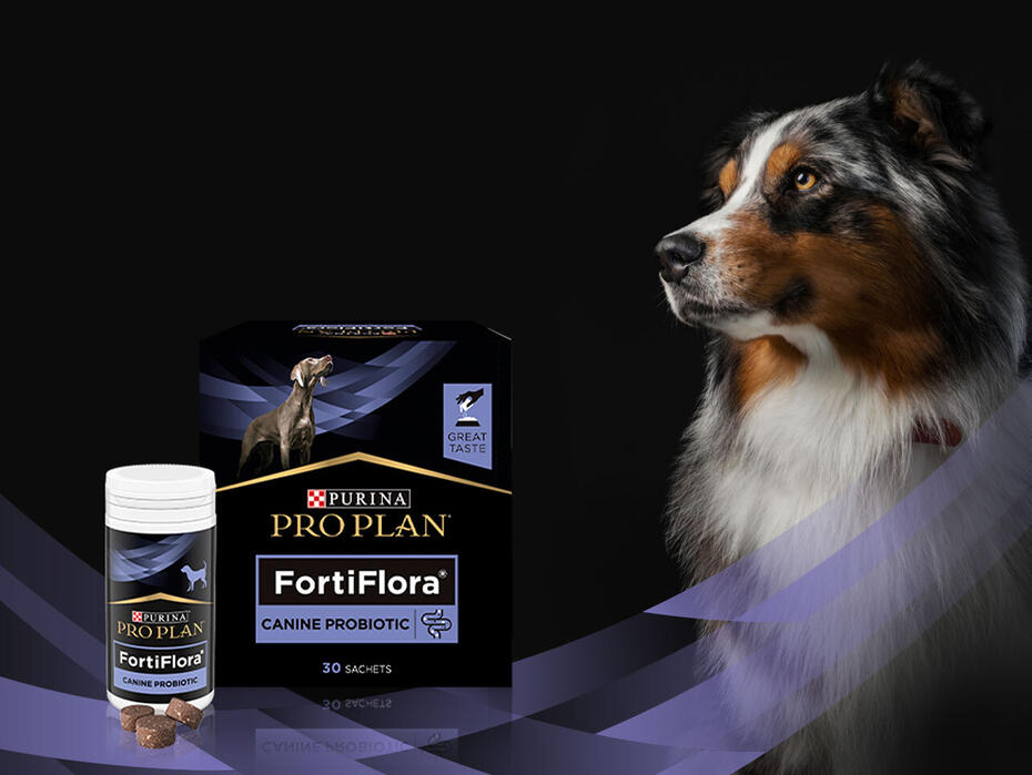 Pro Plan FortiFlora для собак