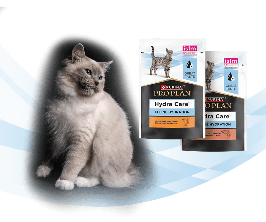 Кіт та PRO PLAN® Hydra Care (Хайдра Кер) зі смаком курки або лосося