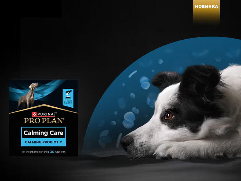 Pro plan Calming care