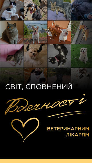 Світ сповнений вдячності ветеринарним лікарям
