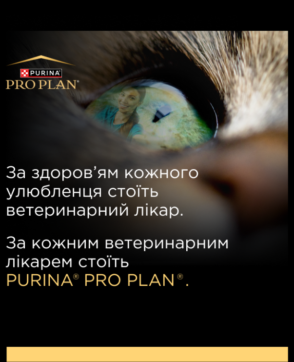 За здоров’ям кожного улюбленця стоїть ветеринарний лікар.