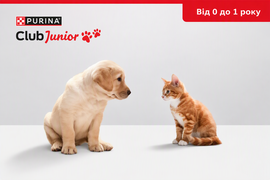 Purina Club Junior cat & dog