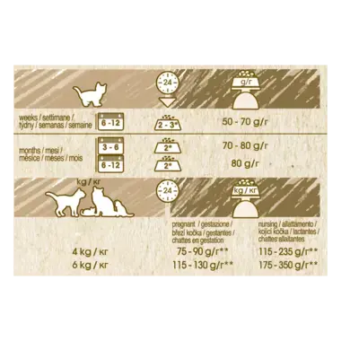 CAT CHOW® Сухий повнораціонний корм для кошенят. Також підходить для вагітних кішок та кішок у період лактації, з куркою.