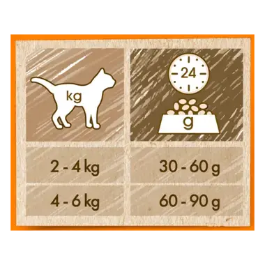 CAT CHOW® Сухий повнораціонний корм для дорослих котів, з качкою