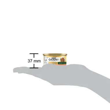 Gourmet Gold®. «Соковита насолода». З лососем.