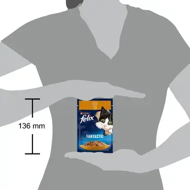 FELIX® FANTASTIC. З куркою. Шматочки у желе.  розмір паучу