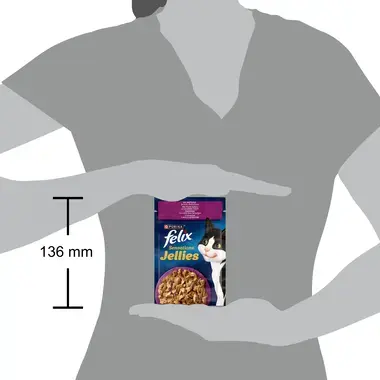 FELIX® SENSATIONS® JELLIES (Желе). З качкою в желе зі шпинатом. Розмір паучу