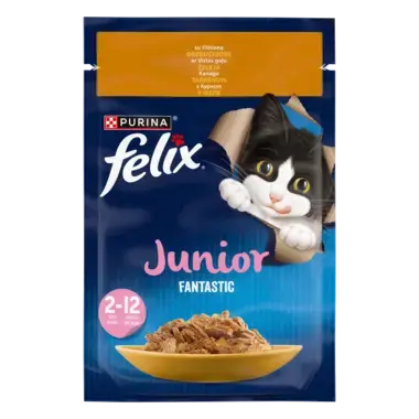 FELIX® FANTASTIC JUNIOR (Джуніор). З куркою. Шматочки у желе.  Пауч