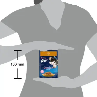 FELIX® FANTASTIC JUNIOR (Джуніор). З куркою. Шматочки у желе.  Розмір паучу