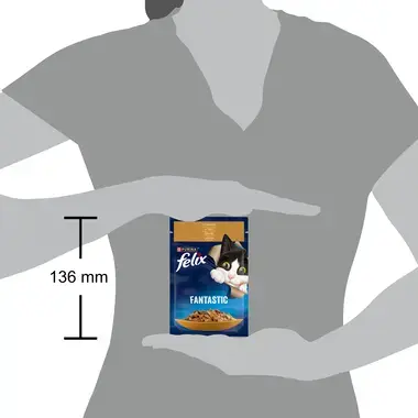 FELIX® FANTASTIC. З індичкою. Шматочки у желе. розмір паучу