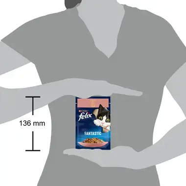 FELIX® FANTASTIC. З лососем. Шматочки у желе.  розмір паучу