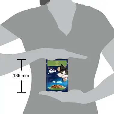 FELIX® FANTASTIC з кроликом. Шматочки у желе | Purina UA