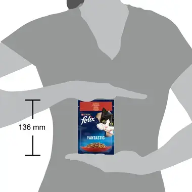 Розмір паучу FELIX® FANTASTIC . З яловичиною в желе. Шматочки у желе.