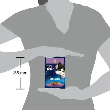 FELIX® FANTASTIC. З ягням. Шматочки у желе. розмір паучу