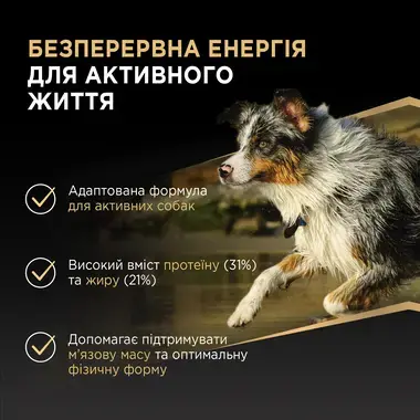 Безперервна енергія для активного життя