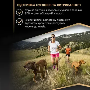 Підтримка суглобів 