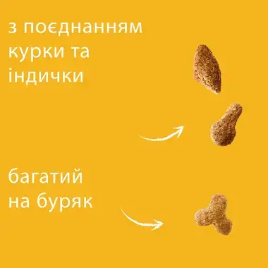 Поєднання курки та індички
