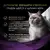 Переваги PURINA® PRO PLAN® Hairball Care (Хеірбол Кер). Консервований додатковий корм для дорослих котів