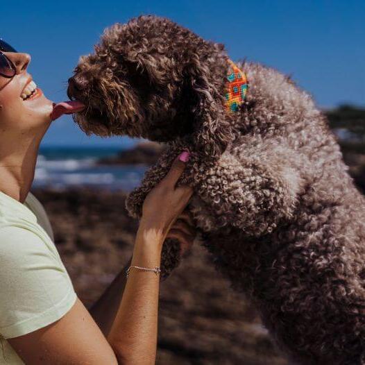 Собака цілує свого господаря