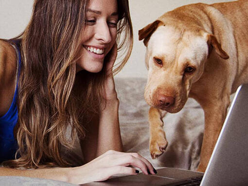 Жінка і пес біля лептопу
