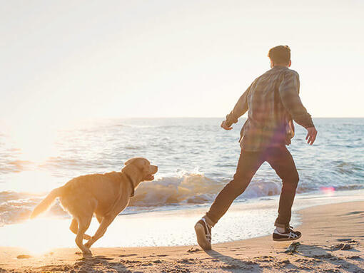Чоловік і собака бігають по пляжу