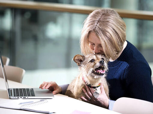 Жінка і собака біля ноутбука