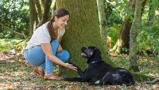 Жінка присіла з собакою біля дерева
