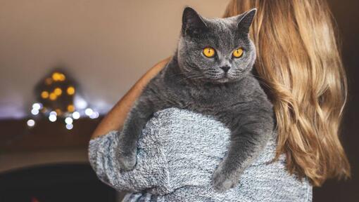 Жінка тримає свого вихованця - британську короткошерсту кішку