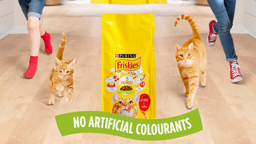 Friskies мегабренд