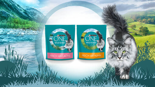 Purina ONE мікробіом