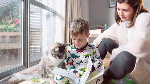Хлопчик з котом читає книгу