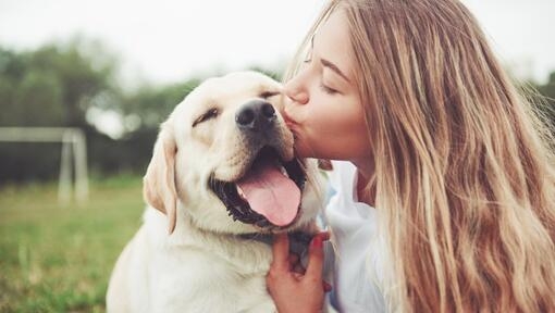 Дівчина цілує собаку