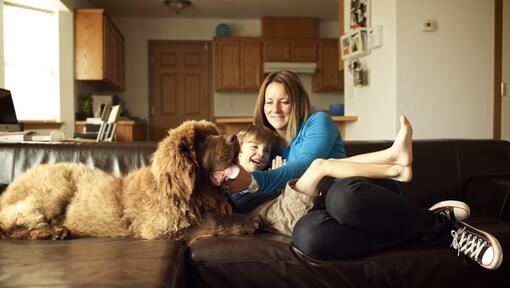 Жінка, дитина та собака лежать на дивані