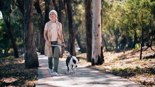 Жінка вигулює собаку у парку