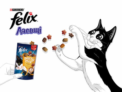 Кіт Felix поруч упаковкою ласощів