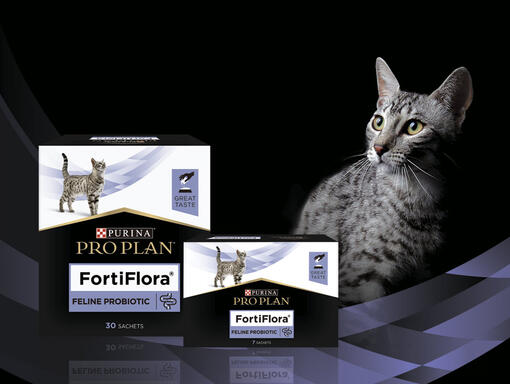 Pro Plan FortiFlora для котів