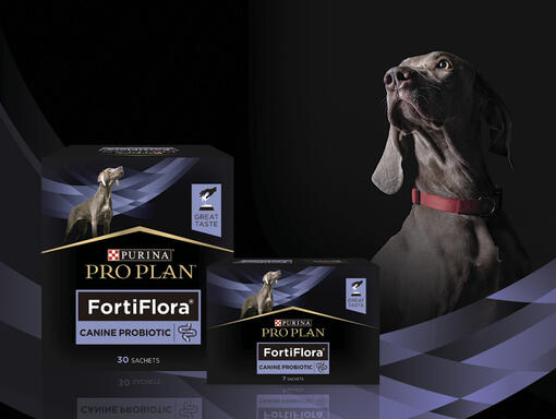 Pro Plan FortiFlora для собак