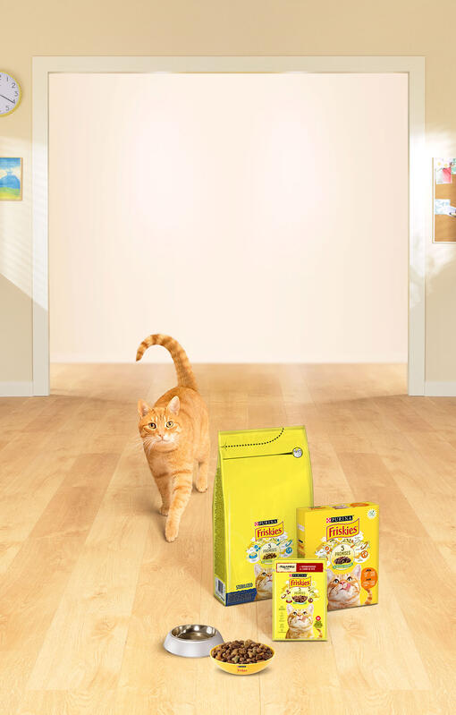 Кіт на дерев'яній підлозі поруч з мисками корму на упаковками Friskies для котів 