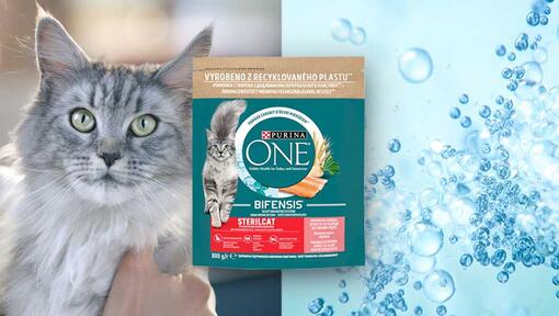 Формула Purina ONE Bifensis