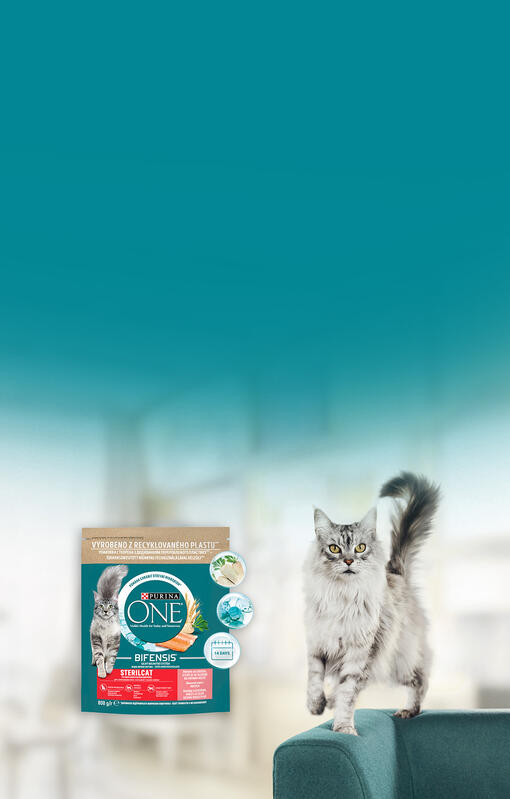 Purina ONE мікробіом