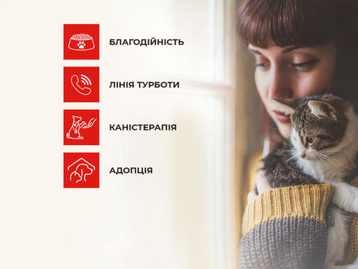 Жінка тримає кішку